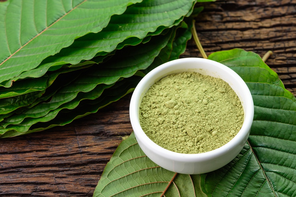 Kratom en poudre